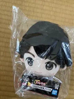 tinyTAN グク　ぬいぐるみ