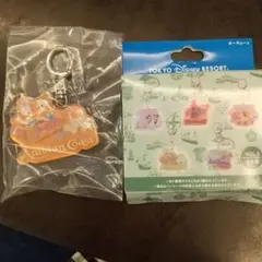 東京ディズニーリゾート アクリルキーホルダー アラビアンコースト