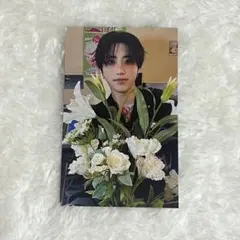 STRAY KIDS スキズ HOP HMV ラキドロA トレカ HAN ハン