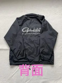 Item thumbnail for item e39bdda2-6fdb-4256-b156-2b9697896464