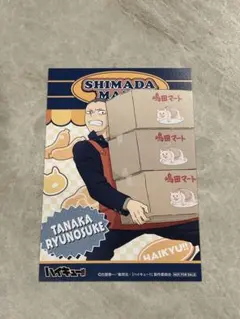 ハイキュー アニメイト購入特典 田中龍之介