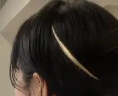 Item thumbnail for item 80a55684-b01b-45b4-b20a-be61646aa605