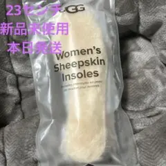 Item thumbnail for item 5d008cac-dcc4-4669-8a85-b2e5433314c2