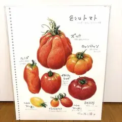 【新品未使用品】野村陽子 植物細密画 ボタニカルアート トマトのサムネイル