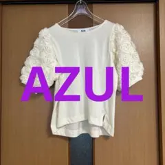 AZUL by MOUSSY フラワー刺繍Tシャツ Fサイズ