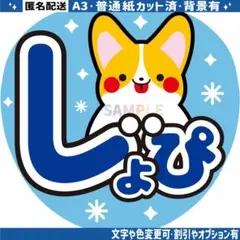 グリーンピース様 リクエスト 2点 まとめ商品