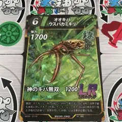 2026年最新】オオキバウスバカミキリ 標本の人気アイテム - メルカリ