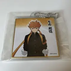 ハイキュー 日向翔陽 カバー付きミニ色紙コレクション キーホルダー 応援団