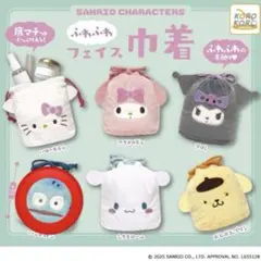 サンリオ sanrio フェイス巾着 ハンギョドン