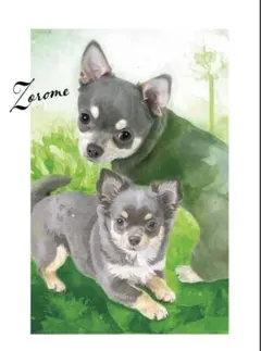 Item thumbnail for item b3070583-2536-4f5f-9543-594fc1998852