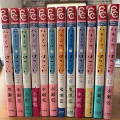 ハチミツにはつこい 全巻セット 小説付き 全12巻 水瀬藍 - メルカリ