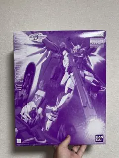 おまとめ割引有】1/144 RG デスティニーガンダム チタニウム➕翼