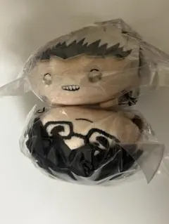 セガラッキーくじ ぬいぐるみ 菊田杢太郎 - メルカリ