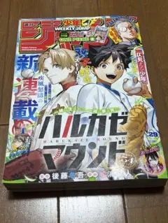 週刊少年ジャンプ 2025年 29号 綴じ込み付録有のサムネイル