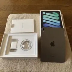 【美品】iPad mini 第6世代 64GB 備品完備