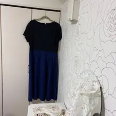 ＩＮＤＩＶＩ　48 大きいサイズのサムネイル
