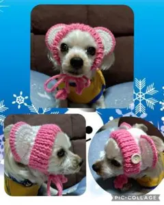 小型犬用☆クマ耳帽子☆ピンク×白☆3.6キロ前後わんちゃん用☆手編み