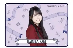 乃木坂46 賀喜遥香 福袋2025 A B 41wSFzIpeAL.jpg