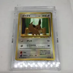 希少　ポケモンカード　旧裏　拡張シート　イーブイ