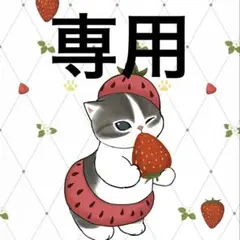 shii様 リクエスト 2点 まとめ商品