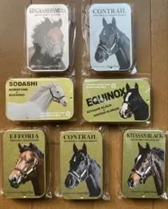 2025年最新】ノーザンホースパーク ウマ娘 缶バッジの人気アイテム