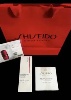 【新品】SHISEIDO エッセンス スキングロウFD＆パウダーセット