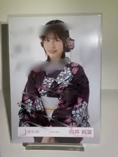 2025年最新】櫻坂 浴衣 サインの人気アイテム - メルカリ