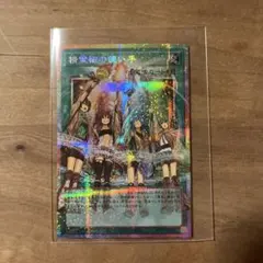 精霊術の使い手　プリシク