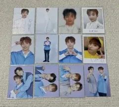 SEVENTEEN ドギョム トレカ SVT 2020 まとめ売り