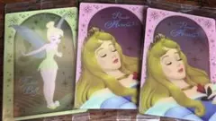 ディズニー ウエハース ティンカー・ベル＆オーロラ姫セット