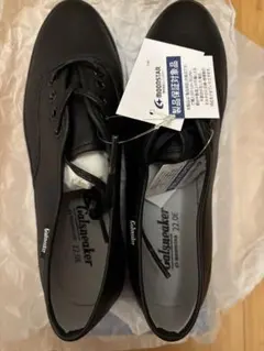 Item thumbnail for item 84792c65-b387-46a9-8af3-37f57ce6852c