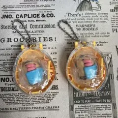 Tamagotchi Collectibles Night Time★たらこっち