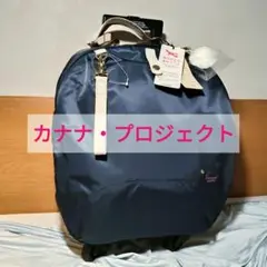 キャリーバッグ キャリーケース