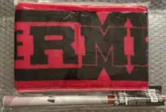 2026年最新】the rampage マフラータオルの人気アイテム - メルカリ