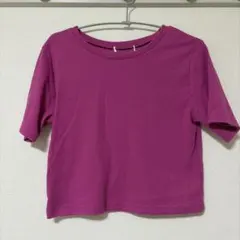 リブ素材 クルーネック 半袖Tシャツ パープル　ショート丈