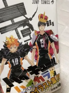 ハイキュー!! 公式カラーイラスト集 ハイカラ!!