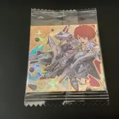 機動戦士ガンダムシールウエハースvol.５～命の瞬光　SG5-02　UR