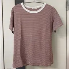 スタディオクリップ　ボーダー　Tシャツ