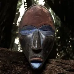 １日一杯のとろろめし様 リクエスト 3点 まとめ商品