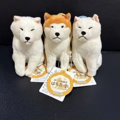 2026年最新】秋田犬 ほっこりの人気アイテム - メルカリ