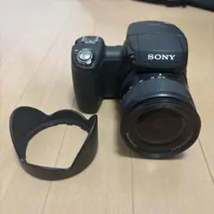 2025年最新】dsc-r1の人気アイテム - メルカリ