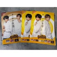 SexyZone 中島健人 菊地風磨 ガルボ galbo A4 クリアファイル