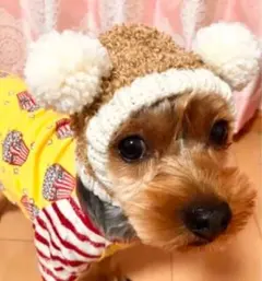 Item thumbnail for item be3ac137-d279-4baf-b83b-c82b64cb1f8d