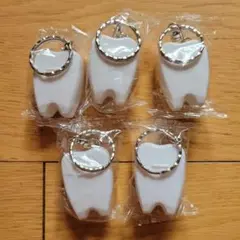 乳歯入れキーホルダー　5つセット