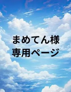 まめてん様専用ページ