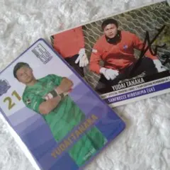 サンフレッチェ広島 記念グッズ