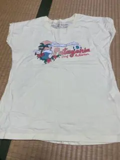 パタゴニア 150
