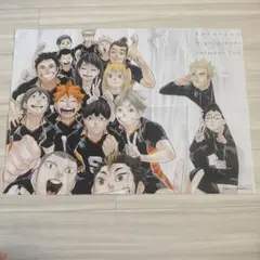 ハイキュー!! 両面ポスター 最強ジャンプ付録
