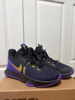 NIKE レブロン ウィットネス DM1123-002 29.0 新品 - メルカリ