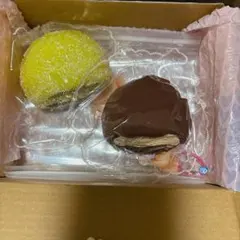 チョコ大福 しゃりしゃり抹茶大福セット KENIE スクイーズ もちもち 分厚め